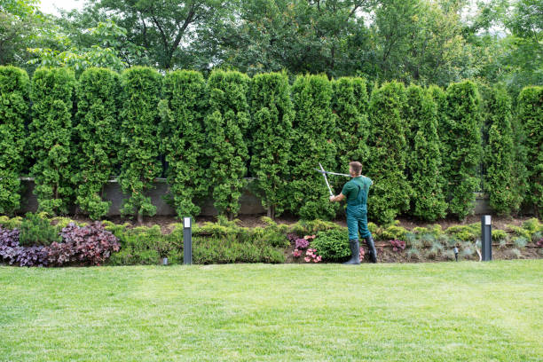 Lawn Watering Services in Montz, LA